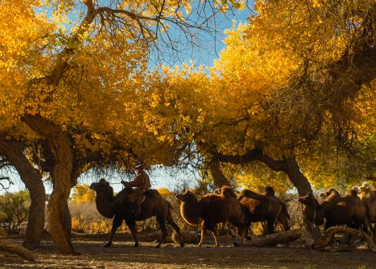 2020国庆节旅游推荐自驾游路线 十一自驾游八天最适合路线行程