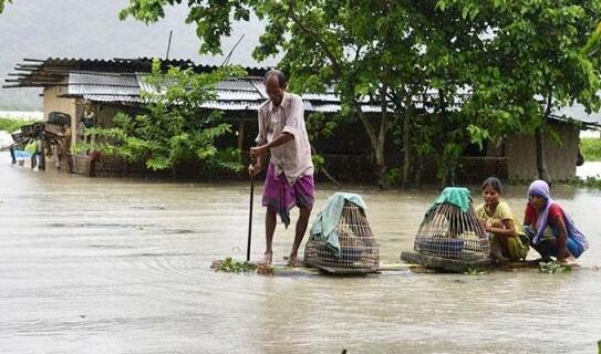 印度阿萨姆邦洪灾22.5万人受灾 目前累计118人在洪水中丧生
