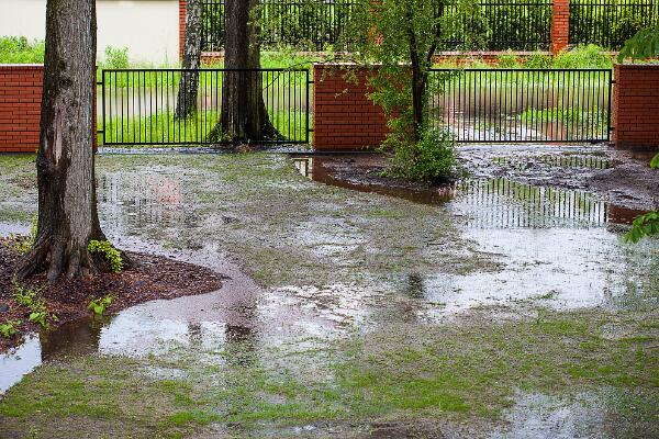 今明两天福建有大范围降雨 到了国庆天气逐渐转为晴天