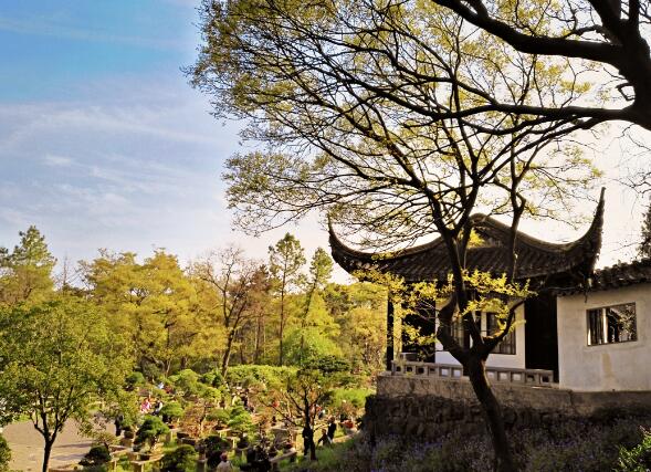 2020国庆节苏州旅游哪里比较好玩 十一苏州旅游景点推荐