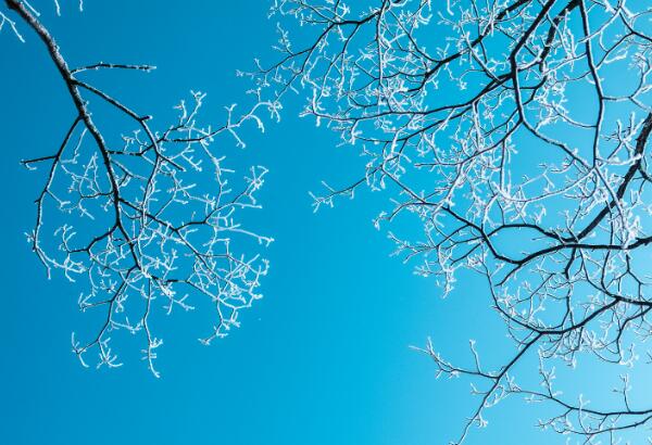 霜降是什么季节的节气 霜降节气属于哪一个季节