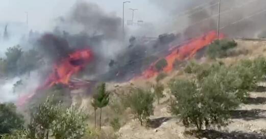 土耳其伊斯坎德伦发生森林火灾 数十辆私家车受损无人员伤亡