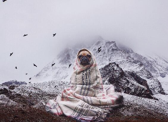 今年冬天会很冷吗2020到2021 这个冬天会是最冷得一年吗