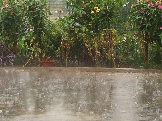 湖南未来三天有降雨 郴州南部地区局地有大到暴雨