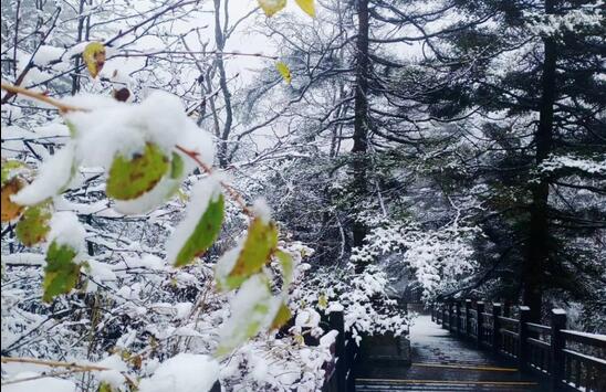 受拉尼娜事件影响 今冬陕西气温偏低有阶段性低温阴雪