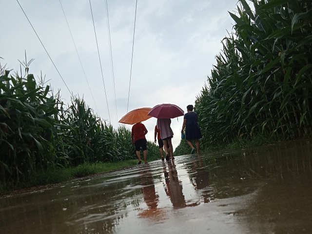 今明两天河北地区有小雨 沿岸海域有7～9级阵风