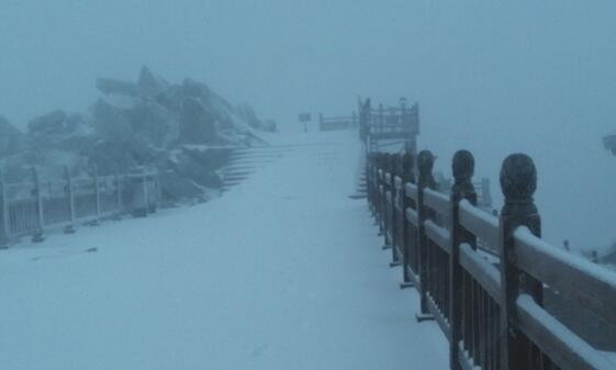 宝鸡太白山一夜积雪10厘米是怎么回事 网友：雪景美如画