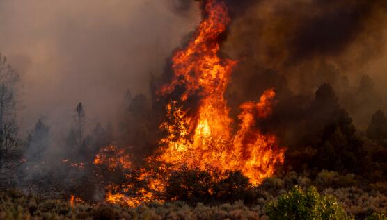 今年加州山火过火面积已超400万英亩 5万居民断电31人死亡