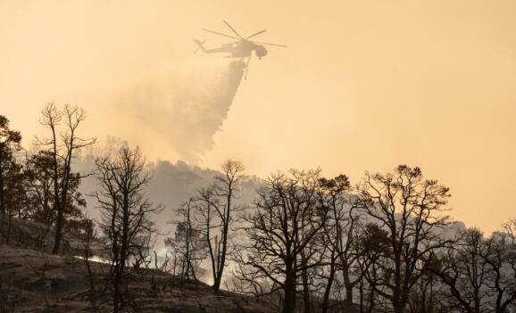 今年加州山火过火面积已超400万英亩 5万居民断电31人死亡