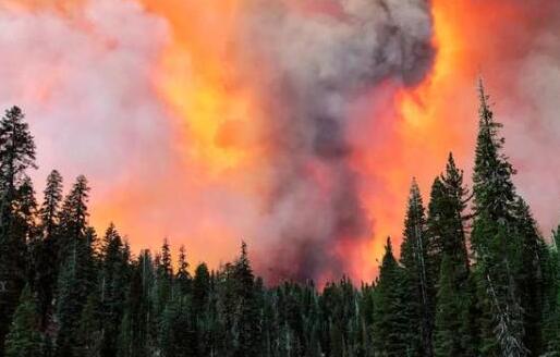 美国高温强风致山火蔓延迅速 南加州过火面积达40万平方米