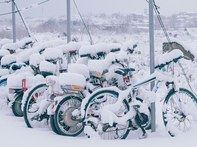 哈尔滨将持续有雨雪天气 最高气温仅4～7℃左右