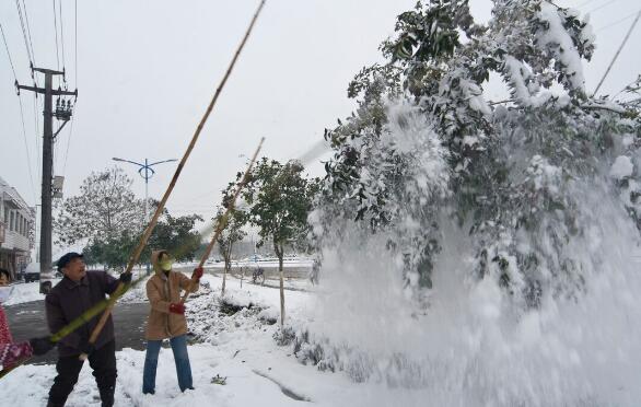 内蒙古今年下半年首个寒潮蓝色预警 呼伦贝尔局地有大风大雪