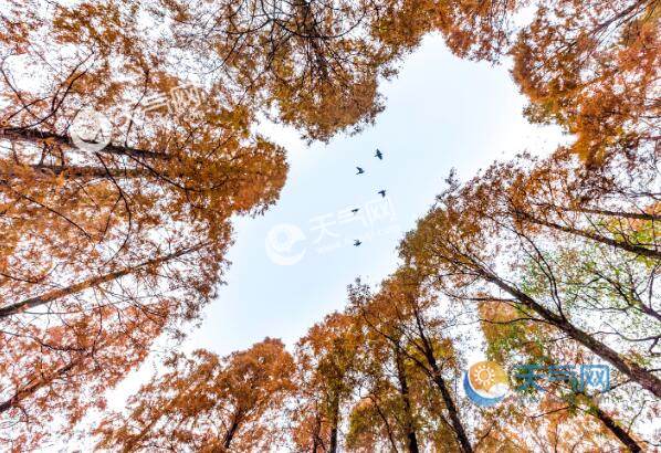 11月南方旅游去哪好 11月南方旅游城市推荐