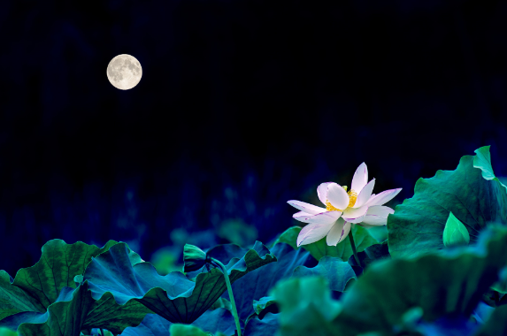 描写月亮的诗句有哪些 形容月亮朦胧美的诗句