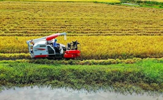 农业农村部：今年气象条件总体较好秋粮收获接近八成