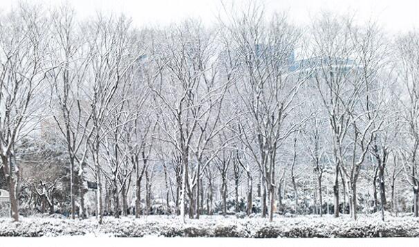中国历史上最大的雪灾 史上最强雪灾是哪一年