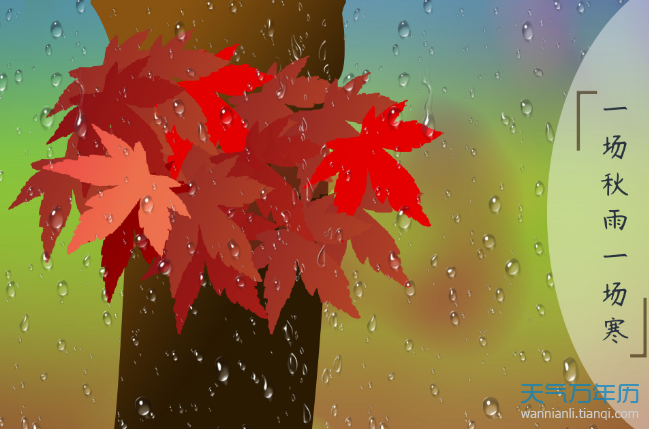 秋雨的诗句 描写秋天下雨的古诗