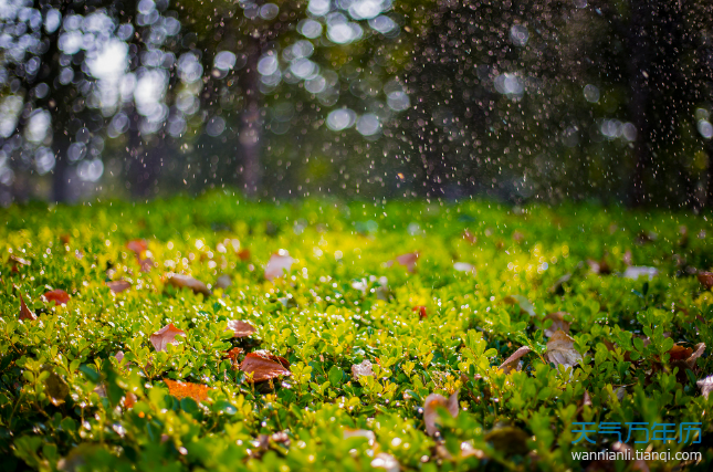 描写秋雨的诗句 关于秋天雨的古诗唯美