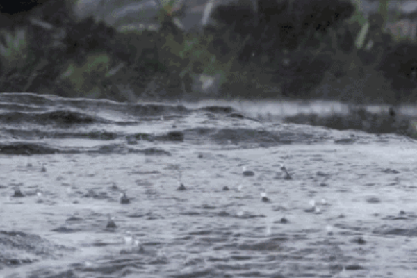 陕西地区将持续有降雨 陕北最低气温仅4℃左右