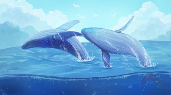 鲸的心跳每分钟多少下 鲸鱼心跳频率是多少