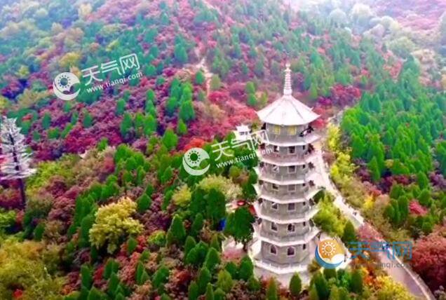 11月山東旅游去哪好 11月山東值得去的旅游景點