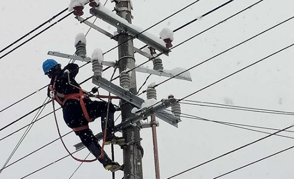 暴雪致甘肃临夏多地不同程度停电 临夏电网抢修工作正在进行中