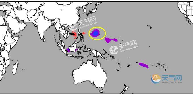 19号台风天鹅最新消息路径图 十九号台风实时路径动态