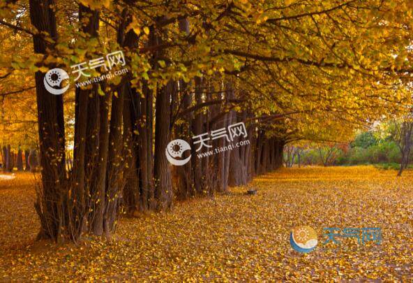 11月廣東旅游哪里好玩 11月廣東最佳旅游地方