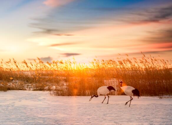 立冬与冬至的区别 立冬和冬至哪个是冬天的开始