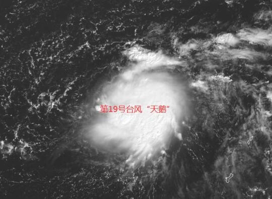 19号台风实时最新消息今天 台风天鹅即将到来