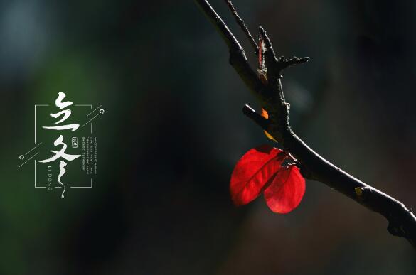 关于立冬的唯美句子 描写立冬的优美句子汇总