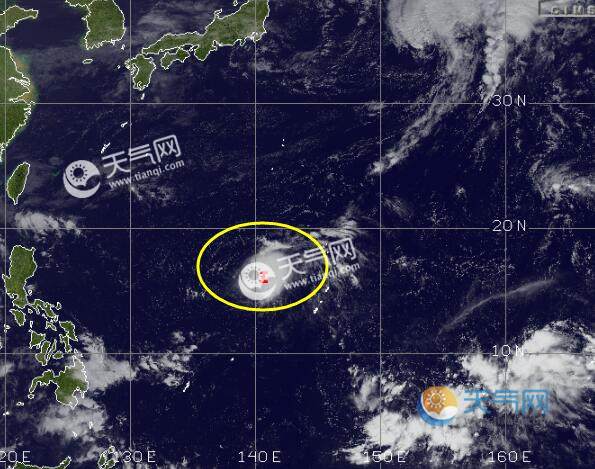 19号台风路径实时发布系统2020云图最新台风天鹅今日卫星云图实况