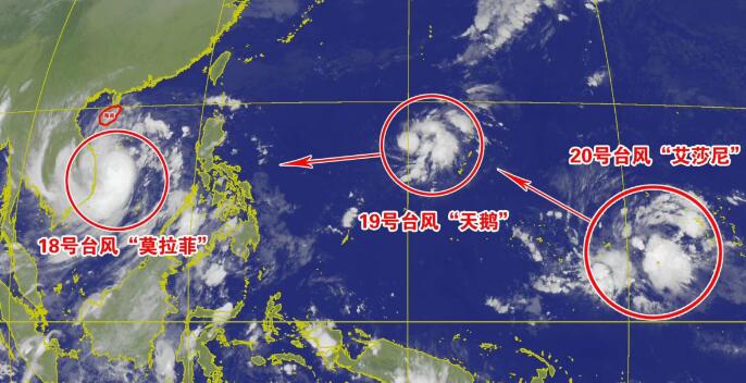 19号台风实时最新消息今天 台风天鹅即将到来