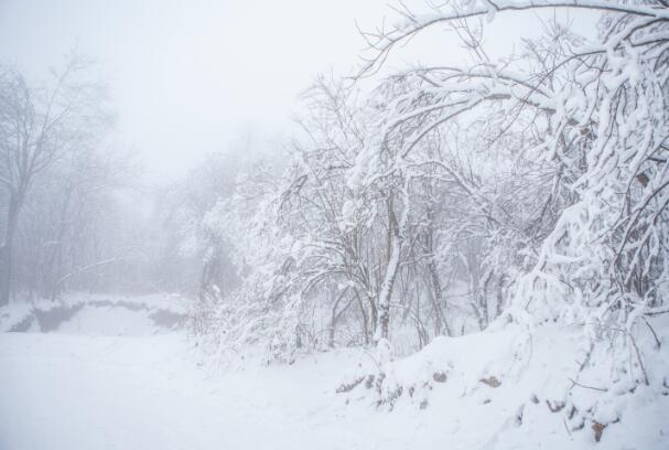 立冬和冬至是一天吗 立冬和冬至有什么区别
