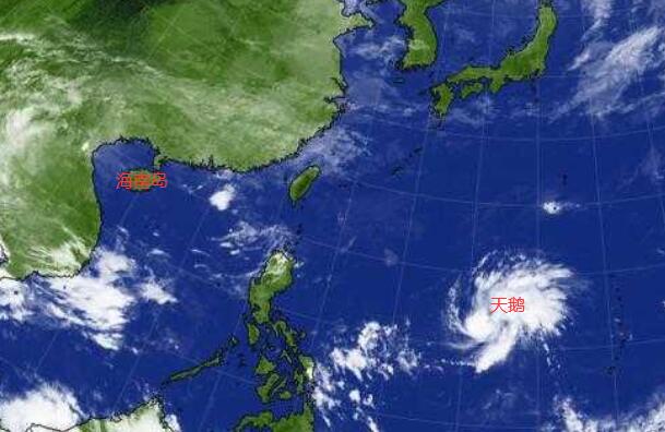 19号台风实时最新消息今天 台风天鹅对海南有影响吗