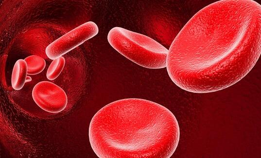 东京部分居民血液有害物质超标是怎么回事 血液都含有什么物质
