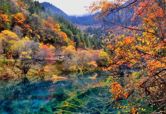 十一月情侣去哪里旅游好玩 11月最美最浪的情侣去处