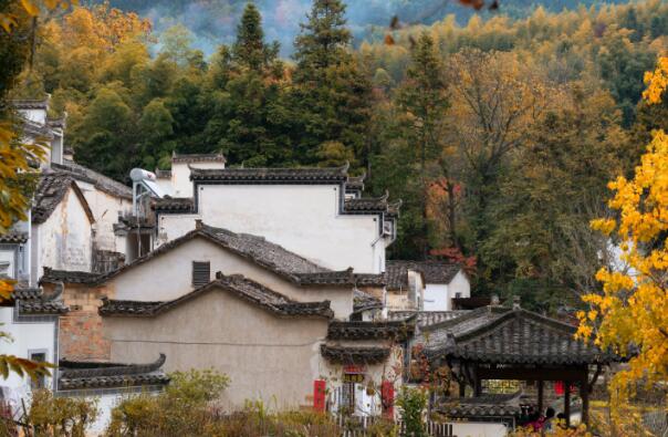 十一月情侣去哪里旅游好玩 11月最美最浪的情侣去处