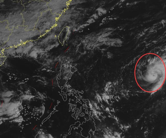 19号台风天鹅生成最新消息 今早生成未来可达15级强台风级别