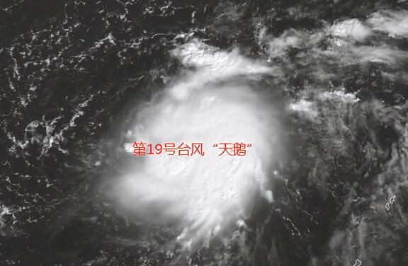19号台风路径实时发布系统今天 台风天鹅实时路径登陆地点预测
