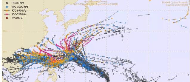 2020温州台风网双台风路径图 19号天鹅20号艾莎尼同日生成会登陆哪里