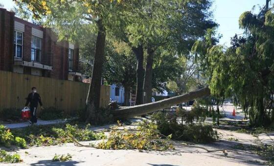 飓风泽塔席卷美国南部州市 至少6人死亡大面积停电