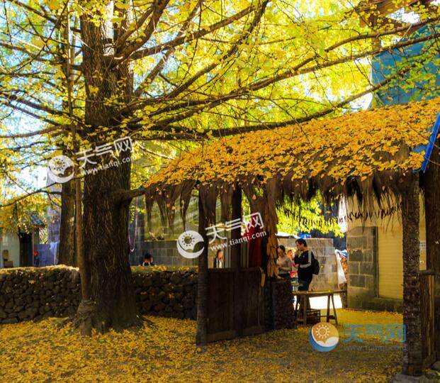 2023秋冬季旅游适合去哪 秋冬时节风景最美地方