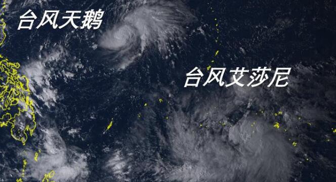 20号台风路径实时最新消息今天 台风艾莎尼或将登陆广东