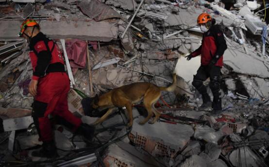 爱琴海地震已致土耳其20人遇难 目前没有中国人员伤亡报告