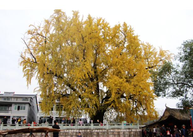 十一月旅游适合去什么地方 11月中国最佳旅游胜地