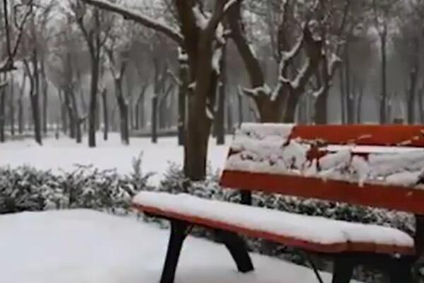 本周末黑龙江多地突降暴雪 伴有短时强对流天气