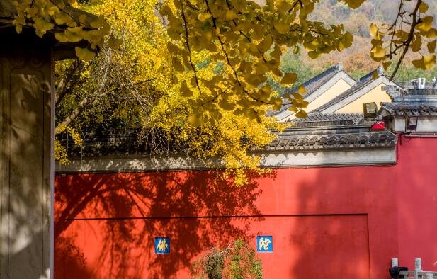 2020秋天最适合旅游的城市 我国秋色最美的地方