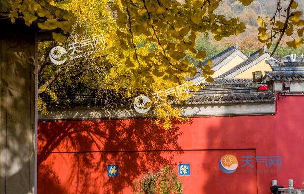 2020国庆节旅游城市_2020秋天最适合旅游的城市我国秋色最美的地方