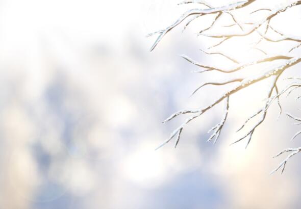 立冬的古诗词经典名句  描写立冬的唯美诗句